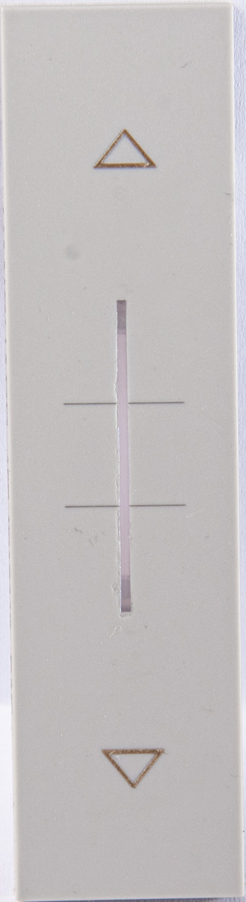 VG19440_已压缩.jpg
